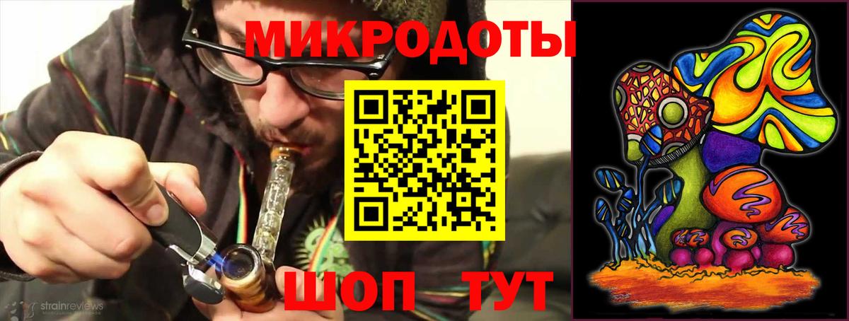 Псилоцибиновые грибы прущие грибы Шебекино