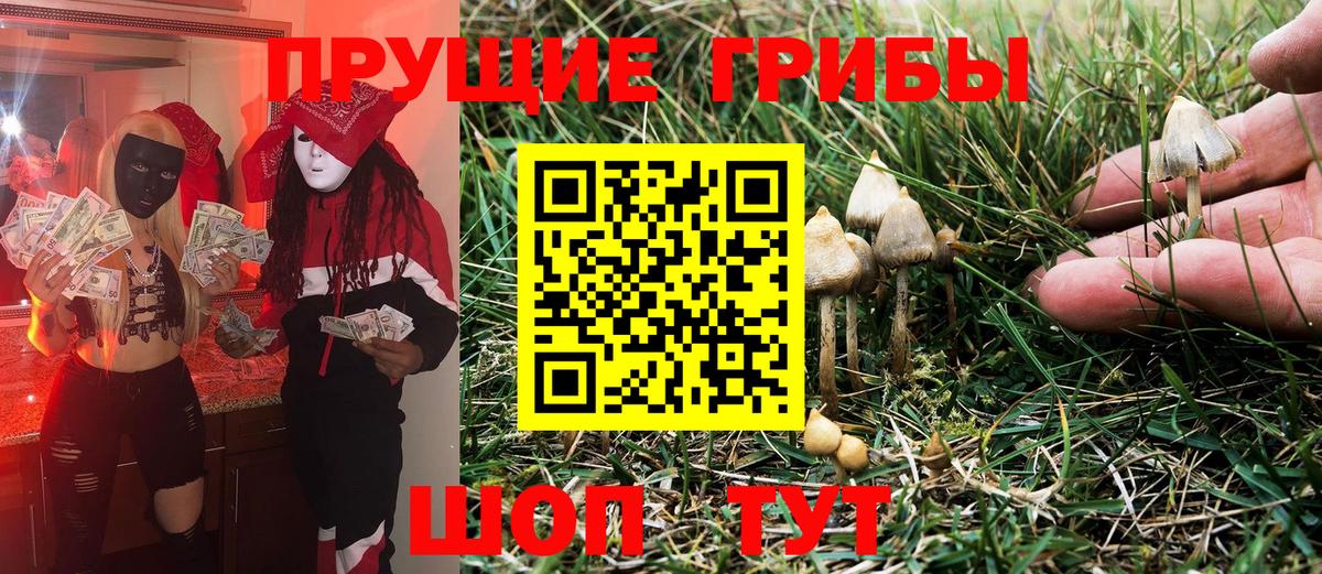 закладка  Галлюциногенные грибы MAGIC MUSHROOMS  Вход с VPN  Шебекино 